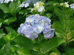 oogamiyamajinjya.6.30 017.jpg