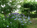 oogamiyamajinjya.6.30 018.jpg