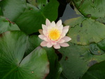 oogamiyamajinjya.6.30 021.jpg