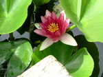 oogamiyamajinjya.6.30 022.jpg
