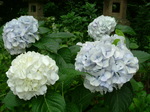 oogamiyamajinjya.6.30 030.jpg