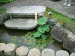 sikano.hasuwalk7.27 02.jpg