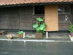 sikano7.27 032.jpg